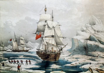 Polarexpedition in der Arktis: Englische und amerikanische Schiffe im Eis gefangen (19. Jahrhundert Druck)
