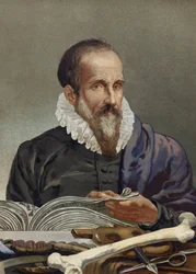 Porträt von Ambroise Paré (1509-1590), französischer Chirurg. aus „La Ciencia y sus Hombres“ von Louis Figuier. Barcelona 1881