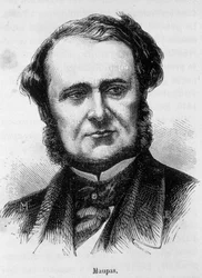 Porträt von Charles Emile de Maupas, do 8. Dezember