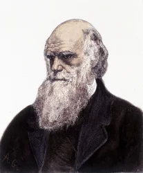 Porträt von Charles Robert Darwin, britischer Naturforscher (1809-1882)