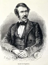 Porträt von David Livingstone, schottischer Missionar (1813-1873)