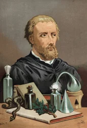 Porträt von Philippus Aureolus Theophrastus Bombastus von Hohenheim Paracelsus