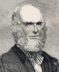 Porträt von William Cullen Bryant (1794-1878), amerikanischer Dichter. Gravur in „The Illustrated London News“ vom 23. Januar 1858.