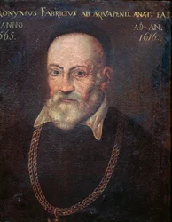 Porträt des wegweisenden Anatomen und Chirurgen Hieronymus Fabricius
