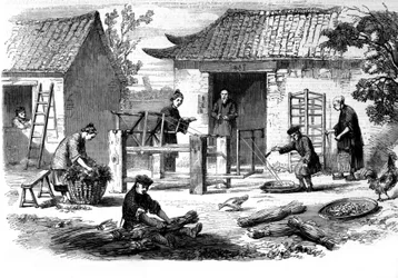 Seidenproduktion in China und die verschiedenen Herstellungsstufen