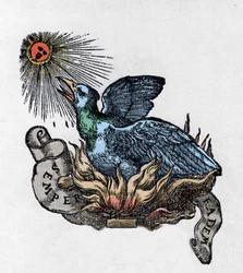 Darstellung eines Phönix, eines legendären Vogels, der aus seiner Asche wiedergeboren wird. Stich aus dem 19. Jahrhundert