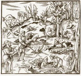 Rhabdomantie - Erkundung eines Bergbaugebiets mit der Wünschelrute - Männer schneiden und verwenden Wünschelruten, um Mineralien zu lokalisieren - Aus „De re metallica“ von Georgius Agricola (Georg Bauer), Basel