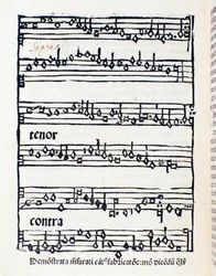 Notenblatt für Musikwissenschaftliche Studien und Dokumente von Nicola Burzio