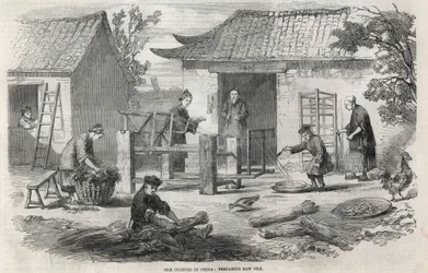 Seidenproduktion in China und die verschiedenen Herstellungsstufen.