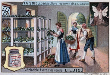 Seide: Seidenwerkstatt im Süden Frankreichs, Liebig-Werbung, ca. 1895
