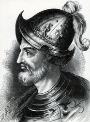 Stephan von Blois (Etienne d