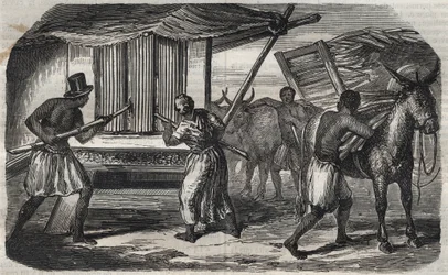 Zuckerherstellung: eine Zuckerrohrmühle in einer Zuckerfabrik in Westindien. Gravur von 1859