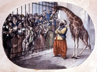 Die neugierige Menge drängte sich, um eine Giraffe hinter einem Tor zu sehen. Lithographie von Danhaaren. 1829