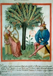 Die Dattelernte (Illumination aus dem Tacuinum sanitatis)