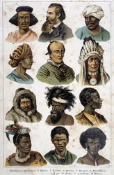 Die verschiedenen Menschenrassen - in „Natural histories of mammals“, ed. Schreiber