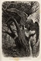 Der Adler schützt sein Nest vor dem Eindringling. Illustration der Geschichte Quatre mois en Florida, von M. Pousselgue, 1851-1852, veröffentlicht in "le tour du monde", unter der Leitung von D