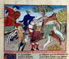 Die Jagd auf die Wildkatze Miniatur aus dem „Buch der Jagd“ von Gaston III Phoebus, Graf von Foix, Herr von Béarn (1331-1391)