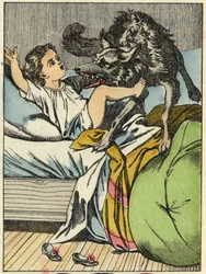 Der Wolf schlägt Rotkäppchen. Illustration des Märchens „Rotkäppchen“ von Charles Perrault