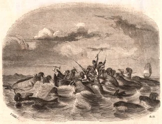 Ansicht einer Gruppe englischer Seeleute, die 1818 vor der Küste von Spitzbergen eine Herde Walrosse jagen