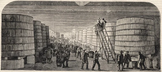 Ansicht des Kellers im Château - Lafitte im Jahr 1860