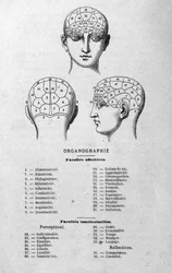Illustration aus Charles Rouvins Buch von 1873 Organographie La Tête humaine, illustrierte Studien der Phrenologie und Physiognomie angewendet auf berühmte Persönlichkeiten Paris 1873