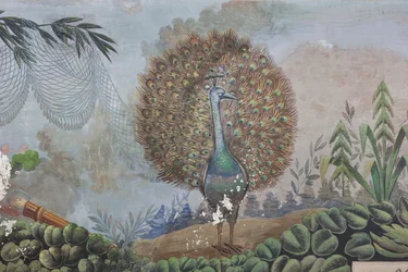 Ein Pfau (Detail)