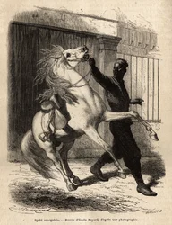 Ein senegalesischer Spahi (Reiter) in Saint-Louis (Saint Louis). Gravur zur Illustration einer Kreuzfahrt an der Küste Afrikas, von Vizeadmiral Fleuriot de Langle, veröffentlicht in „Le tour du monde“ 1872, herausgegeben von Edouard Charton, Edition Hachet