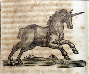 Ein Einhorn, mythologisches Tier - Gravur aus einem Werk von Athanasius Kircher (1601-1680), Jesuit, Orientalist und deutscher Gelehrter