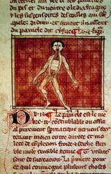 Anatomische Figur: Haut, Brust geöffnet. Miniatur aus dem Manuskript „Chirurgie“ (Folio 11v) geschrieben von Henri de Mondeville (Chirurg von Philippe Le Bel, Anatomieprofessor)