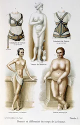 Schönheit und Hässlichkeit des Frauenkörpers (mager und fettleibig); Junos Gürtel - in „Die Frau, Hausärztin“