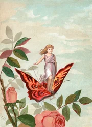 Fee reitet auf einem Schmetterling zwischen Rosen