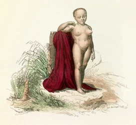 Illustration aus dem Buch "Gesammelte Werke von Buffon": Naturgeschichte des Menschen: Weiße Negresse (Gravur)