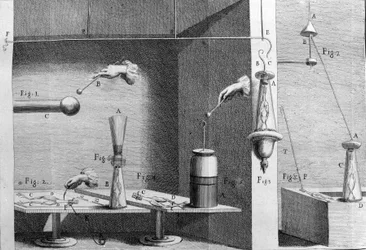 Illustration von Experimenten von Luigi Galvani, italienischer Physiker und Arzt (1737 - 1798), die den Durchgang von elektrischem Strom erklären, der die Beine eines Frosches bewegt.