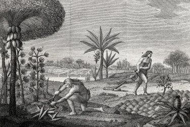 Indigene arbeiten das Land im Orinoco-Becken von Kolumbien. Gravur 1780
