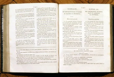 Seiten des Zivilgesetzbuches von Napoleon. auf Französisch und Italienisch