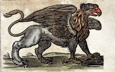 Darstellung eines Greifen, einer fantastischen Kreatur halb Adler, halb Löwe. Gravur aus einem Werk von Athanasius Kircher (1601 - 1680), Jesuit, Orientalist und Gelehrter