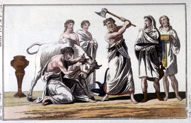 Opferung eines Stiers bei den Kelten. Gravur des 19. Jahrhunderts.