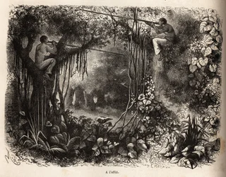 Die Yahua-Indianer von Peru lauern auf Wild, sitzen auf Ästen und bewaffnet mit Blasrohren mit vergifteten Pfeilen. Gravur zur Illustration der Reise vom Pazifischen Ozean zum Atlantischen Ozean durch Südamerika in den Jahren 1848-1860 von Paul M