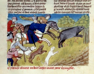 Die Miniatur-Wildschweinjagd aus „Das Buch der Jagd“ von Gaston III Phoebus, Graf von Foix, Herr von Béarn (1331-1391)