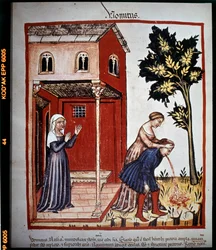 Medizinisches Traktat „Tacuinum sanitatis“ des 14. Jahrhunderts: Erbrechen. B.N, Wien