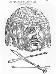 Walter Hermann Ryff: Anatomische Beschreibung aller Teile des menschlichen Körpers: Das Gehirn. Paris 1545