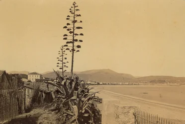 Album "Nizza und die Umgebung": Blick auf die Küste von Nizza