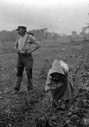 Französische Bauern bei der Feldarbeit, Somme 1921
