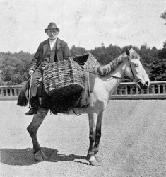 Ire auf seinem Pferd (19. Jahrhundert)