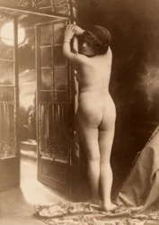 Nacktes Porträt einer jungen Frau von hinten gesehen