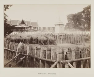 Fotografie im Fotoalbum