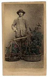 Venezianische Kostüme und Masken: ein Pflanzenhändler