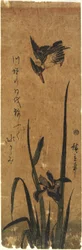 (Iris und Eisvogel), 1830-1858