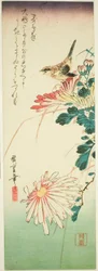 Vogel und Chrysanthemen