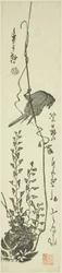 Kanarienvogel und Glyzinie
